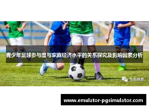 青少年足球参与度与家庭经济水平的关系探究及影响因素分析