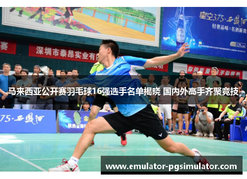 马来西亚公开赛羽毛球16强选手名单揭晓 国内外高手齐聚竞技