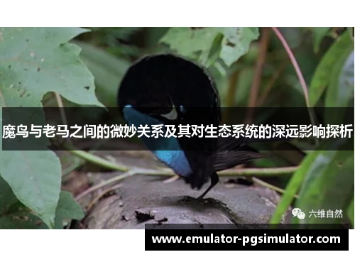 魔鸟与老马之间的微妙关系及其对生态系统的深远影响探析